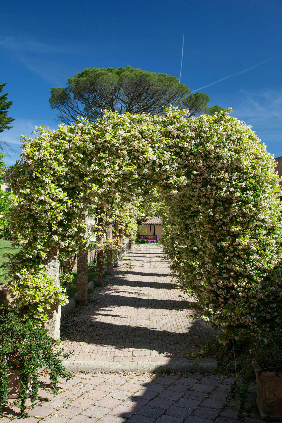 Villa Borri 卡夏纳温泉 外观 照片
